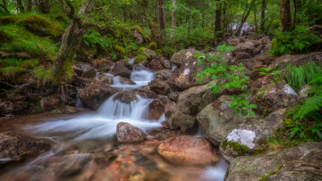 Картинка природа реки озера простор