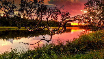 Картинка природа реки озера простор