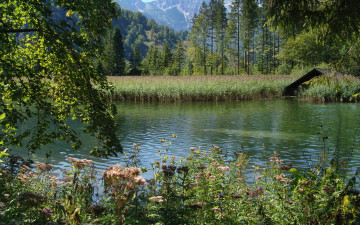 Картинка природа реки озера простор