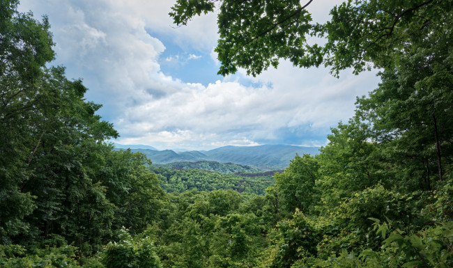 Обои картинки фото природа, пейзажи, простор