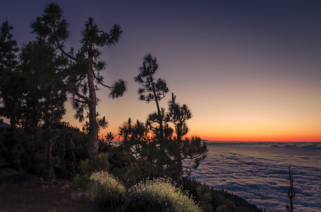 Обои картинки фото природа, восходы, закаты, простор