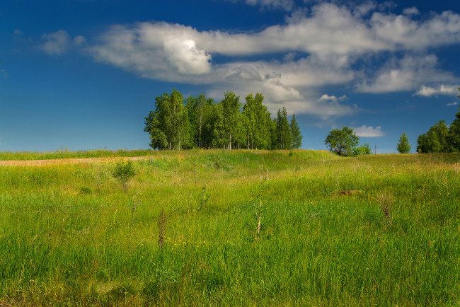 Обои картинки фото природа, пейзажи, простор