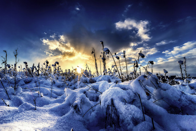 Обои картинки фото природа, зима, простор