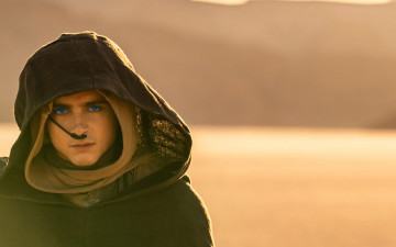 Картинка кино+фильмы dune +part+two timothee chalamet