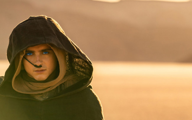 Обои картинки фото кино фильмы, dune,  part two, timothee, chalamet