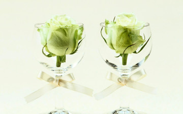 обоя цветы, розы, бокалы, бантики