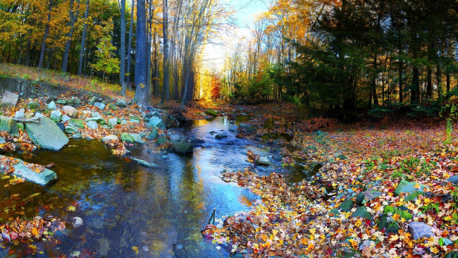 Обои картинки фото природа, реки, озера, лес, деревья, осень, листья, камни, речка