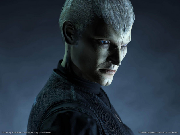 Обои картинки фото видео, игры, tekken, tag, tournament