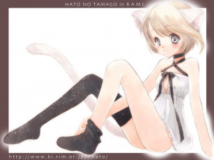 Картинка аниме animals