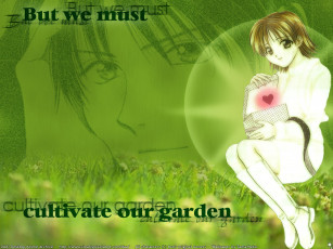 Картинка аниме *unknown другое