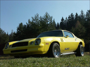 Картинка автомобили camaro