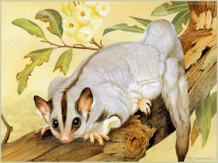 Картинка рисованные животные