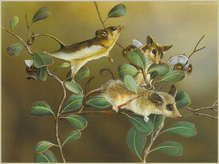 Картинка рисованные животные