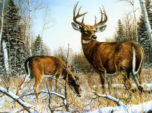 Картинка рисованные животные олени