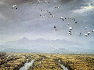 обоя рисованные, животные, птицы, журавли