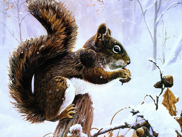Обои картинки фото рисованные, животные, белки