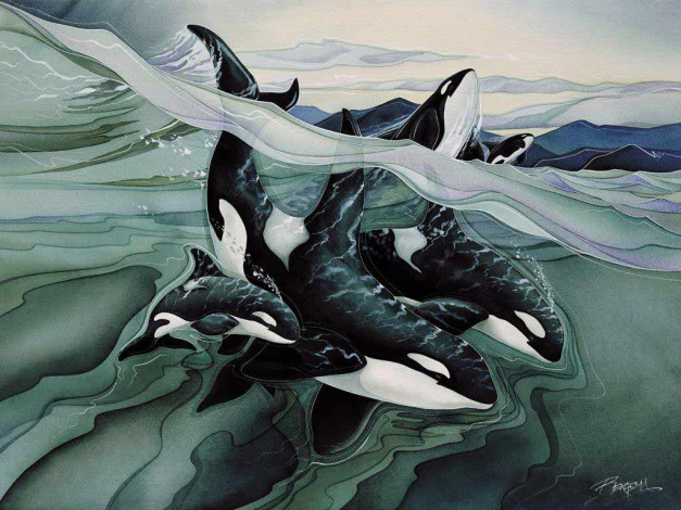 Обои картинки фото рисованные, животные, косатки