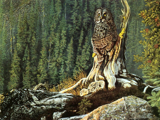 Обои картинки фото рисованные, животные, птицы, совы, филины