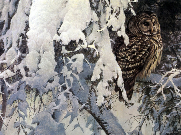 Обои картинки фото рисованные, животные, птицы, совы, филины