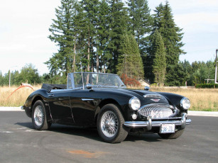 Картинка автомобили austin healy