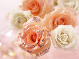 Картинка цветы розы