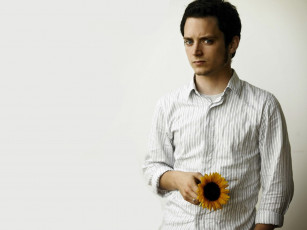 Картинка elijah wood мужчины