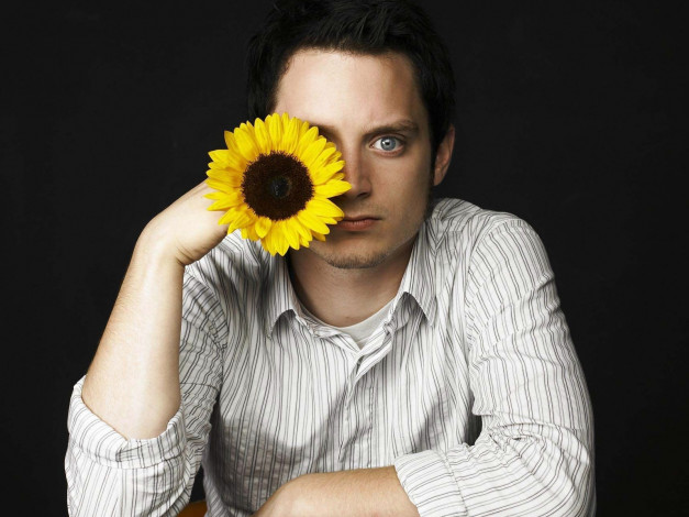 Обои картинки фото elijah, wood, мужчины