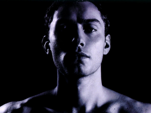 Обои картинки фото jude, law, мужчины