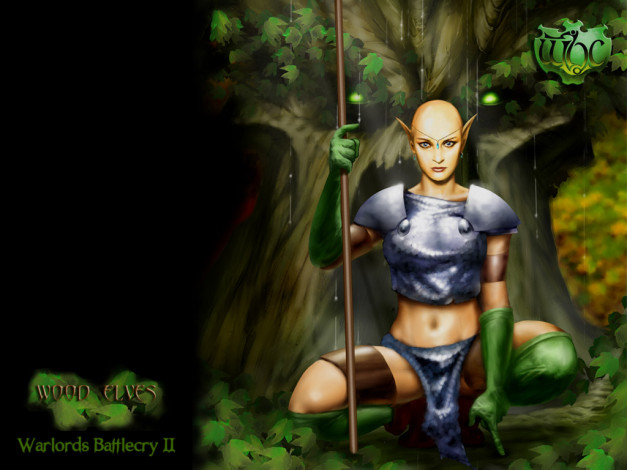 Обои картинки фото warlords, battlecry, ii, видео, игры