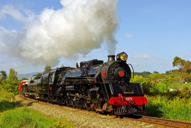 Обои картинки фото техника, паровозы, дорога, лес, паровоз