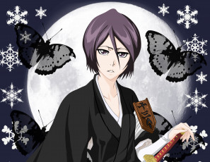 Картинка аниме bleach рукия кучики бабочки арт блич