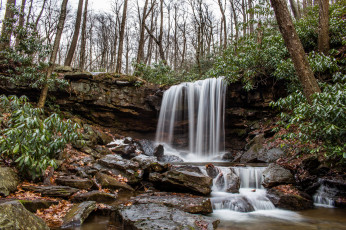 Картинка природа водопады водопад река лес