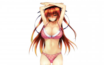 Картинка аниме shinmai+maou+no+testament naruse mio shinmai maou no testament pierre yoshio арт девушка фон