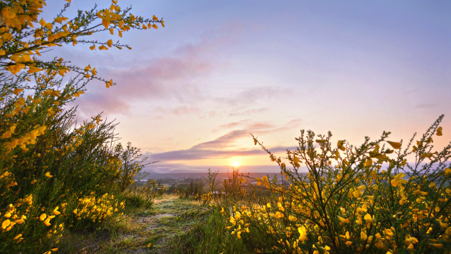 Обои картинки фото природа, восходы, закаты, рассвет