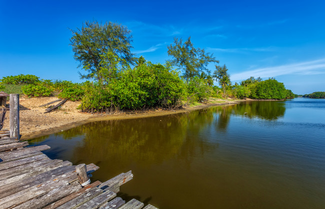 Обои картинки фото природа, реки, озера, река, лес