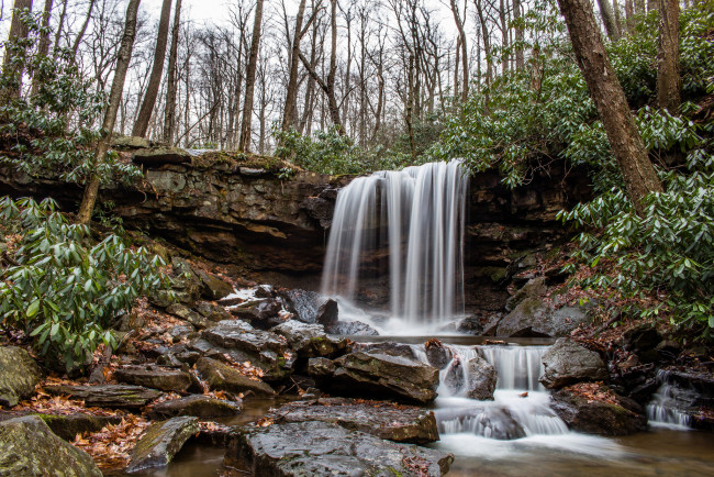 Обои картинки фото природа, водопады, водопад, река, лес