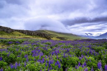 Картинка природа пейзажи простор