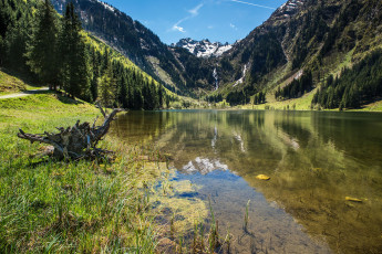 Картинка природа реки озера лес река