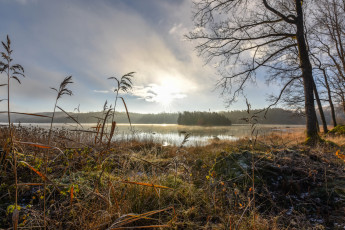 Картинка природа реки озера лес река