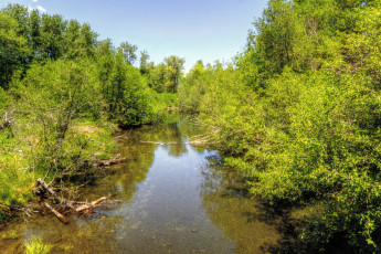 Картинка природа реки озера лес река