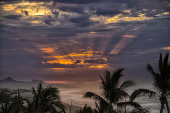 Картинка природа тропики курорт