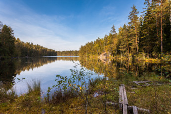 Картинка природа реки озера лес река