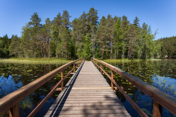 Картинка природа реки озера лес река