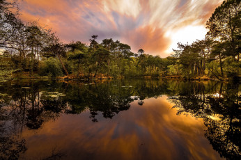 Картинка природа реки озера лес река