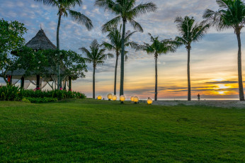 Картинка природа тропики курорт