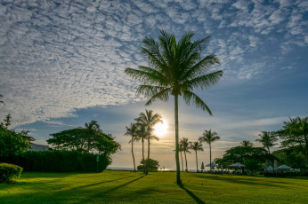 Картинка природа тропики курорт