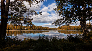 Картинка природа реки озера лес река