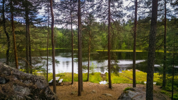 Картинка природа реки озера лес река