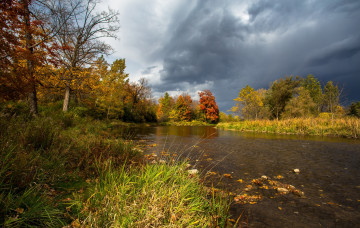 Картинка природа реки озера лес река