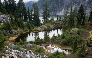 Картинка природа реки озера лес река